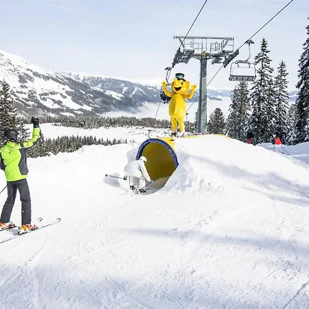 House In Near Waterfalls & Hiking Trails * Krimml